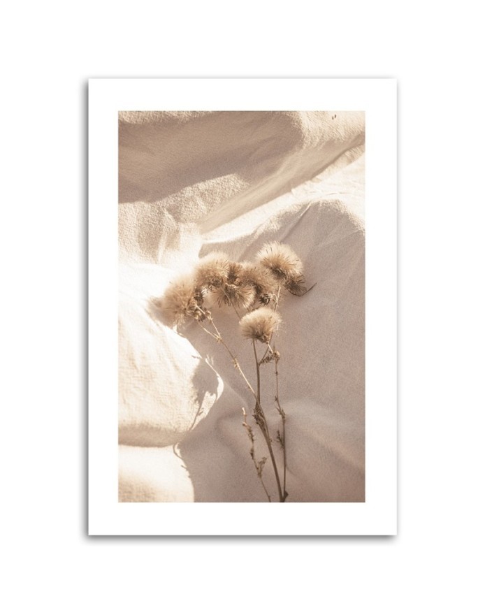 Canvas painting - Delicate dry flowers | FEEBY