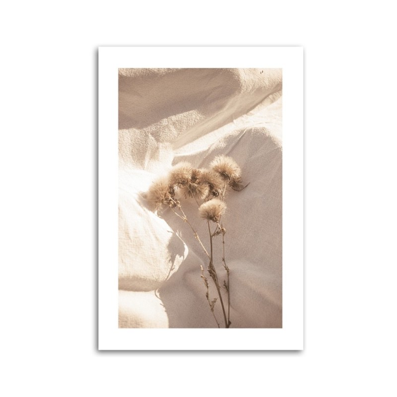 Leinwandbild modern - Zarte Trockenblumen | Feeby