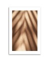 Canvas painting - Shadows of leaves on a wall | FEEBY