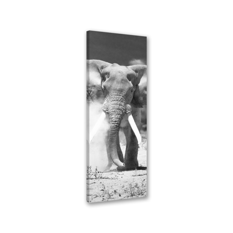Leinwandbild - Afrikanischer Elefant schwarz und weiß | Feeby