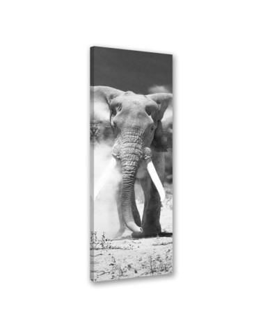 Leinwandbild - Afrikanischer Elefant schwarz und weiß | Feeby