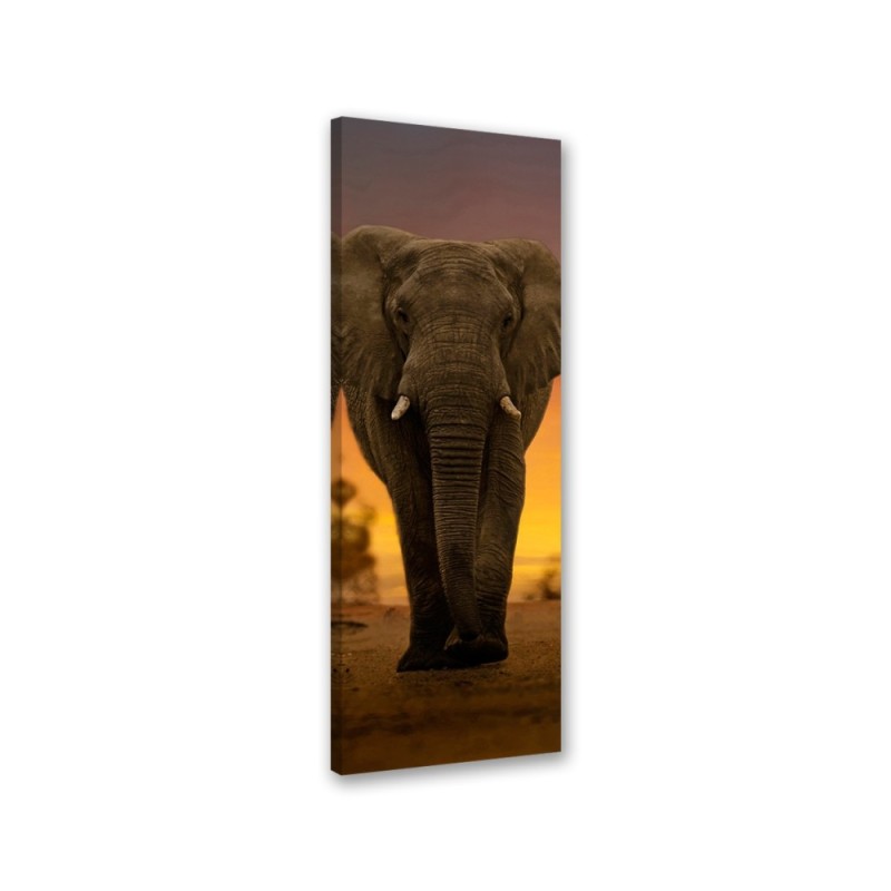 Leinwandbild - Elefant in der Wüste | Feeby