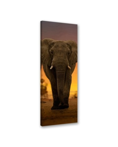 Leinwandbild - Elefant in der Wüste | Feeby