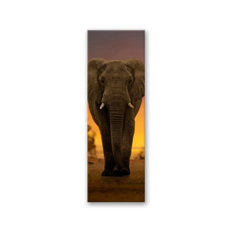 Leinwandbild - Elefant in der Wüste | Feeby