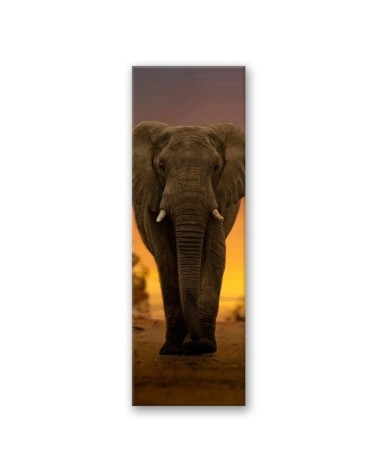 Leinwandbild - Elefant in der Wüste | Feeby