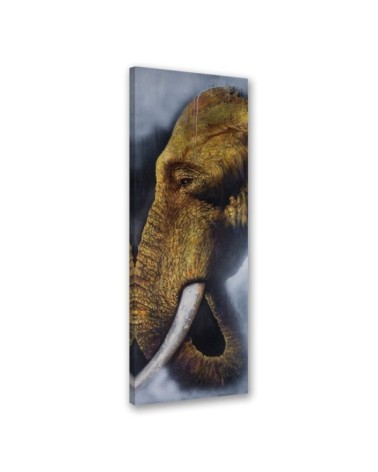 Modernes Wandbild - Einzelner Elefant | Feeby