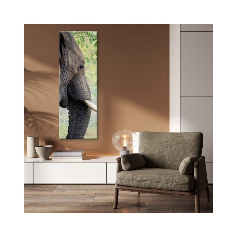 Dekoratives Leinwandbild - Elefant Tier Afrika | Feeby