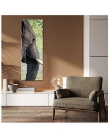 Dekoratives Leinwandbild - Elefant Tier Afrika | Feeby
