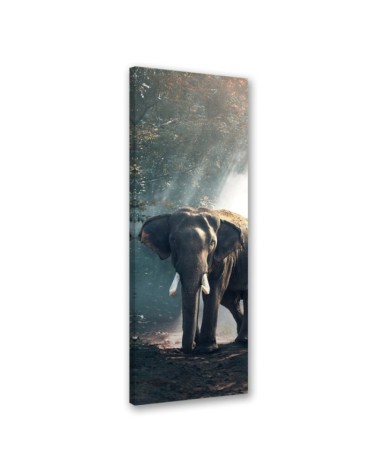 Canvas print for the living room - Elephant in the jungle | FEEBY