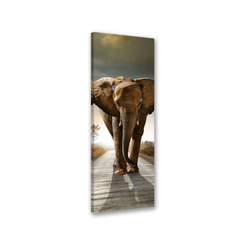 Modernes Wandbild - Elefant auf der Straße | Feeby