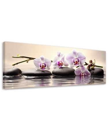 Bild auf Leinwand - Orientalische Orchideen | Feeby