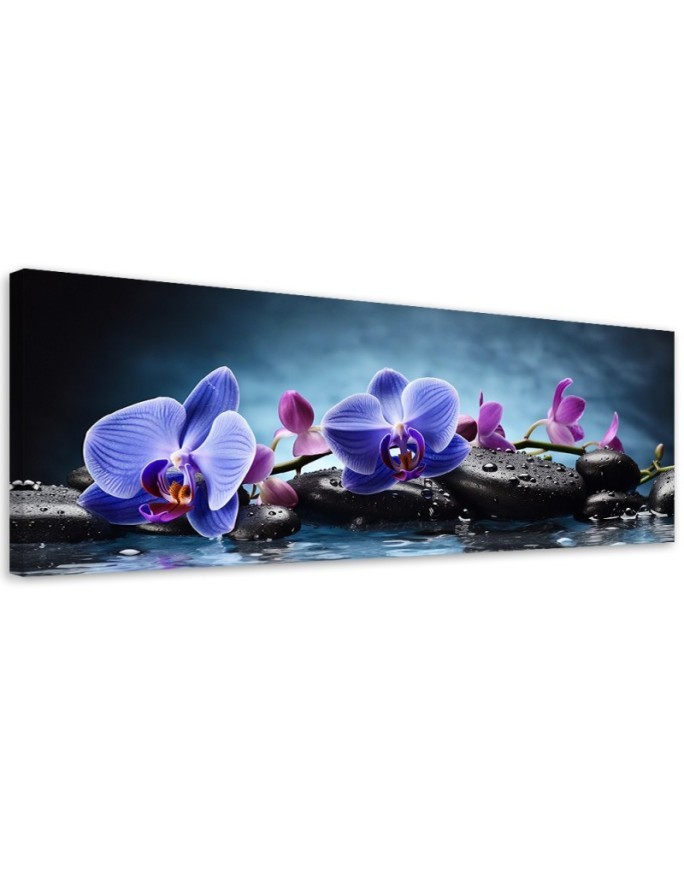 Obraz na ścianę do salonu - Niebieska Orchidea Zen | Feeby.pl