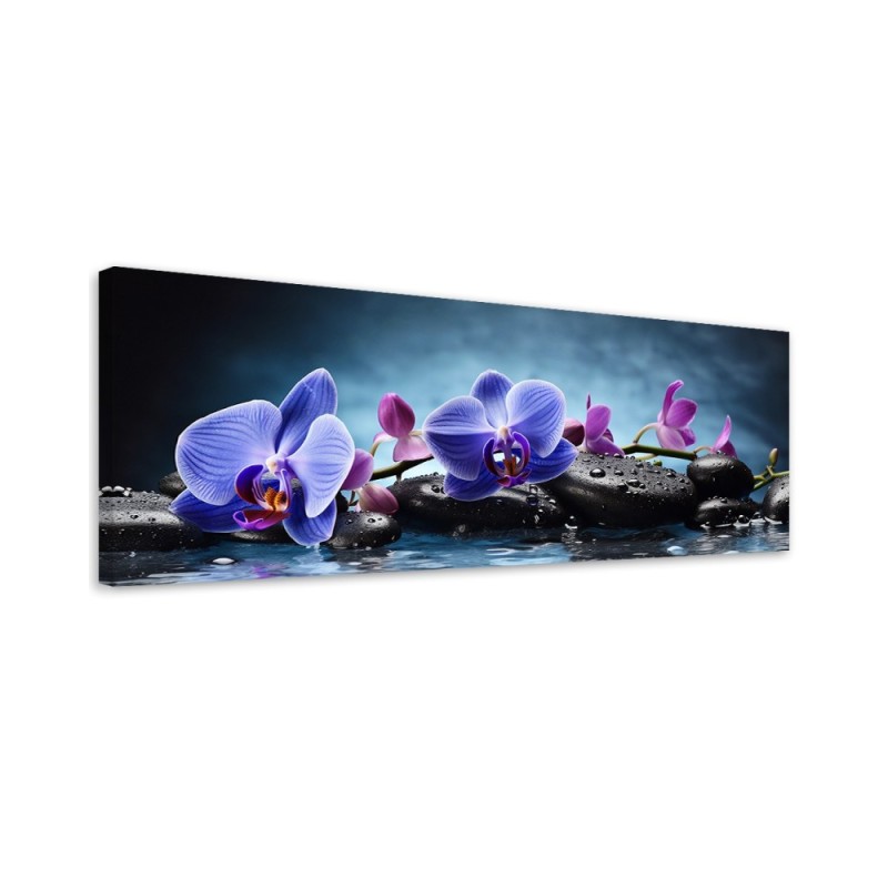 Leinwandbild - Blaue Zen-Orchidee | Feeby
