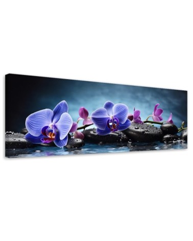 Obraz na ścianę do salonu - Niebieska Orchidea Zen | Feeby.pl