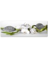 Obraz do pokoju - Biała orchidea zen | Feeby.pl