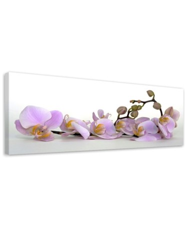 Modern canvas painting - Flowering orchid flower | FEEBY