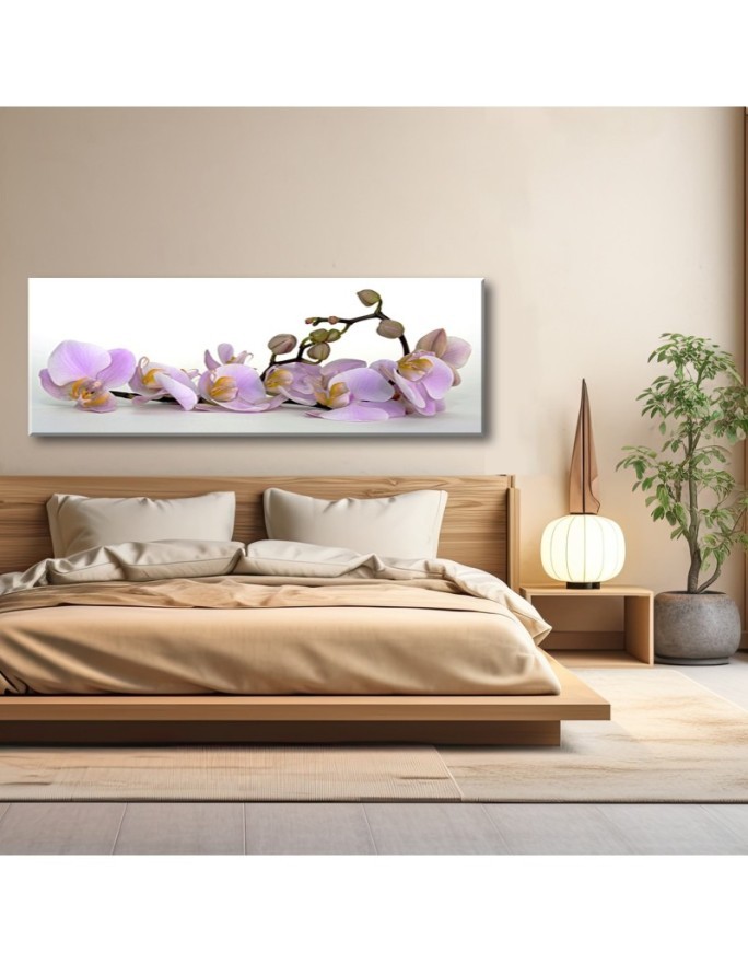 Obraz na płótnie nowoczesny - Kwitnący kwiat orchidei | Feeby.pl