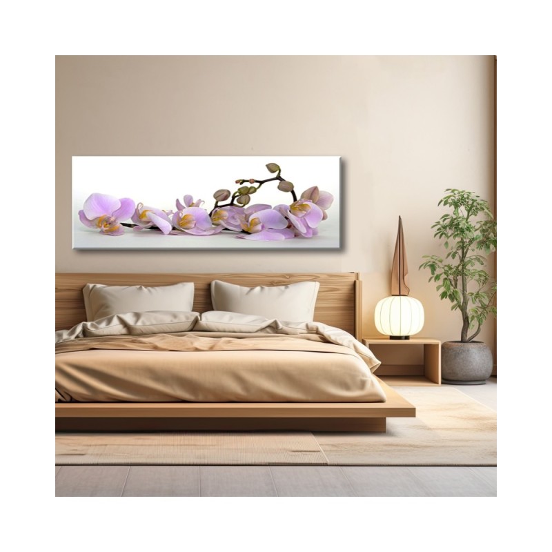 Leinwandbild modern - Blühende Orchideenblüte | Feeby