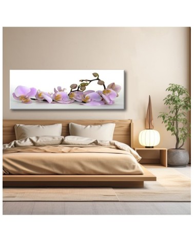 Leinwandbild modern - Blühende Orchideenblüte | Feeby