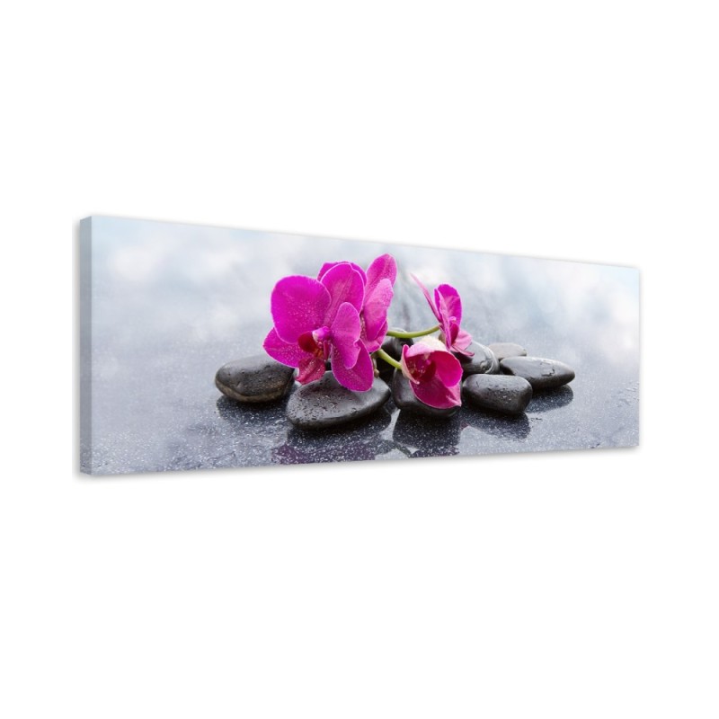 Bild auf Leinwand - Rosa Blume Orchidee | Feeby