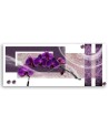 Nowoczesny obraz - Purpurowy storczyk | Feeby.pl