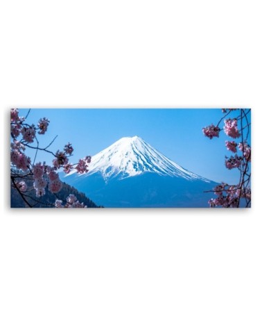 Leinwandbild - Kirschblüten und Berg Fuji | Feeby