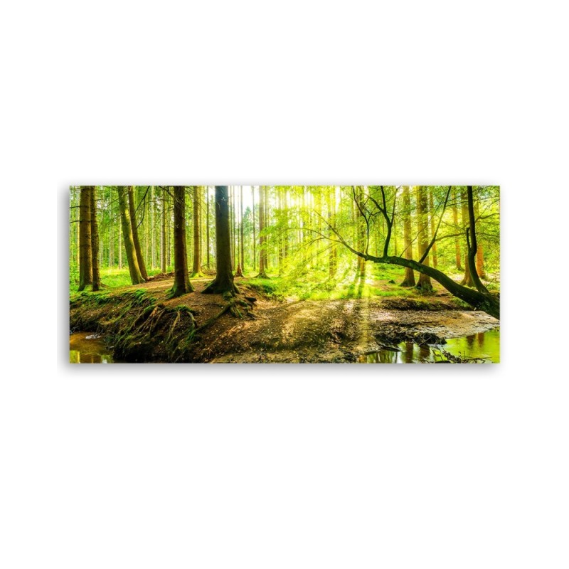 Leinwanddruck - Grüner Wald | Feeby