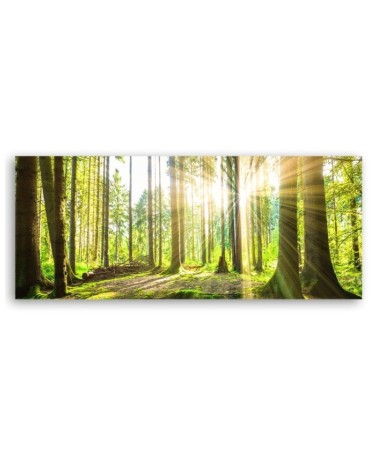 Leinwandbild - Sonnenschein im Wald | Feeby