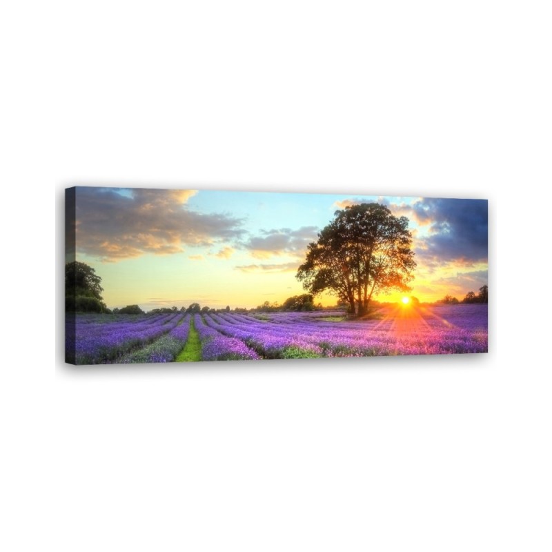 Leinwandbild - Baum in einem Lavendelfeld | Feeby