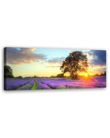 Leinwandbild - Baum in einem Lavendelfeld | Feeby