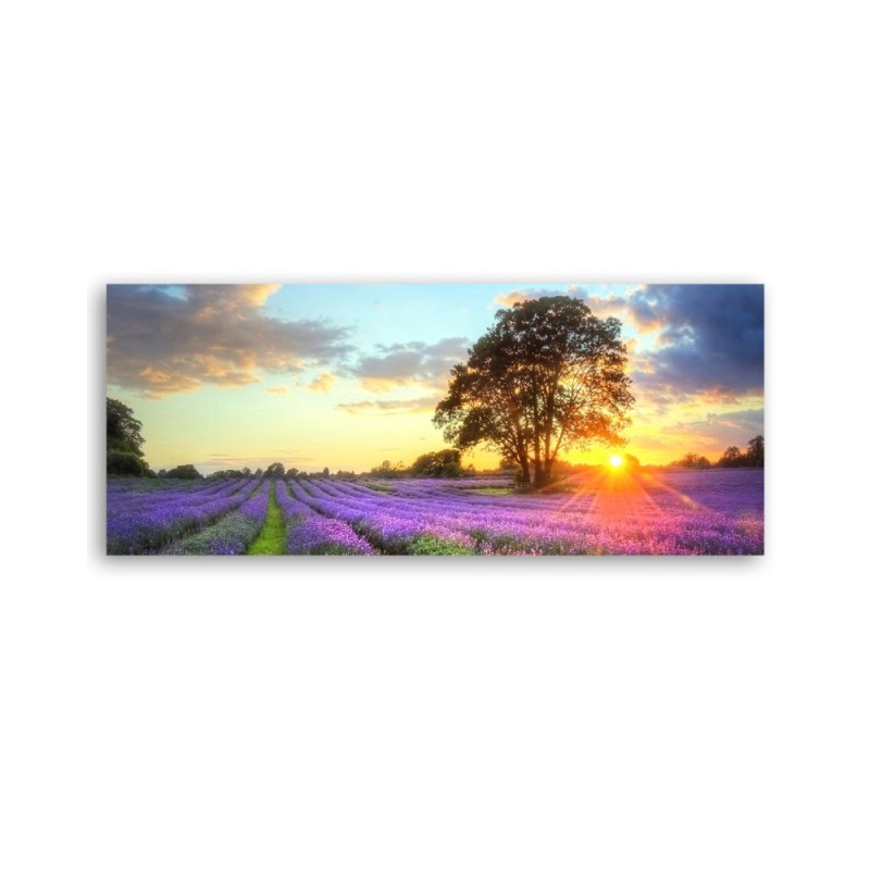 Leinwandbild - Baum in einem Lavendelfeld | Feeby