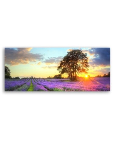 Leinwandbild - Baum in einem Lavendelfeld | Feeby