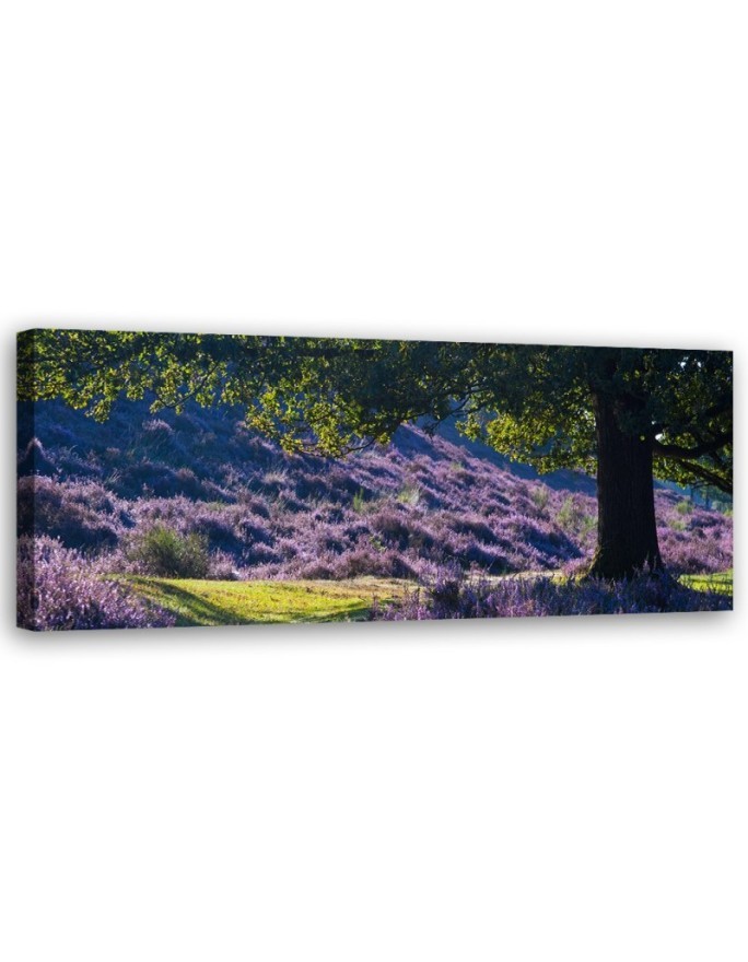 Wandbild für Wohnzimmer - Lavendel in der Provence | Feeby