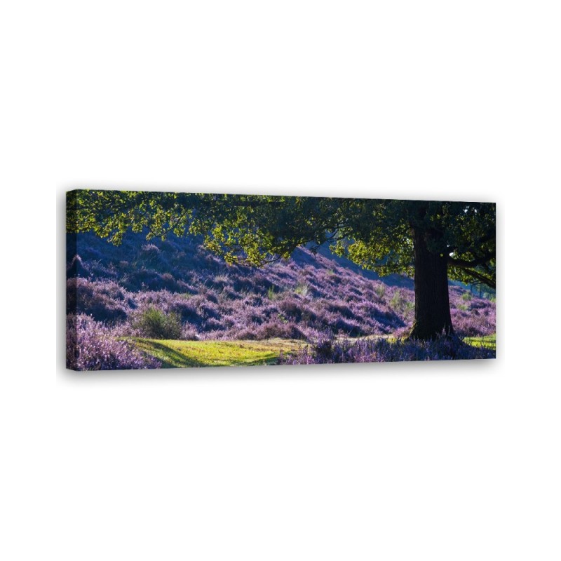 Wandbild für Wohnzimmer - Lavendel in der Provence | Feeby
