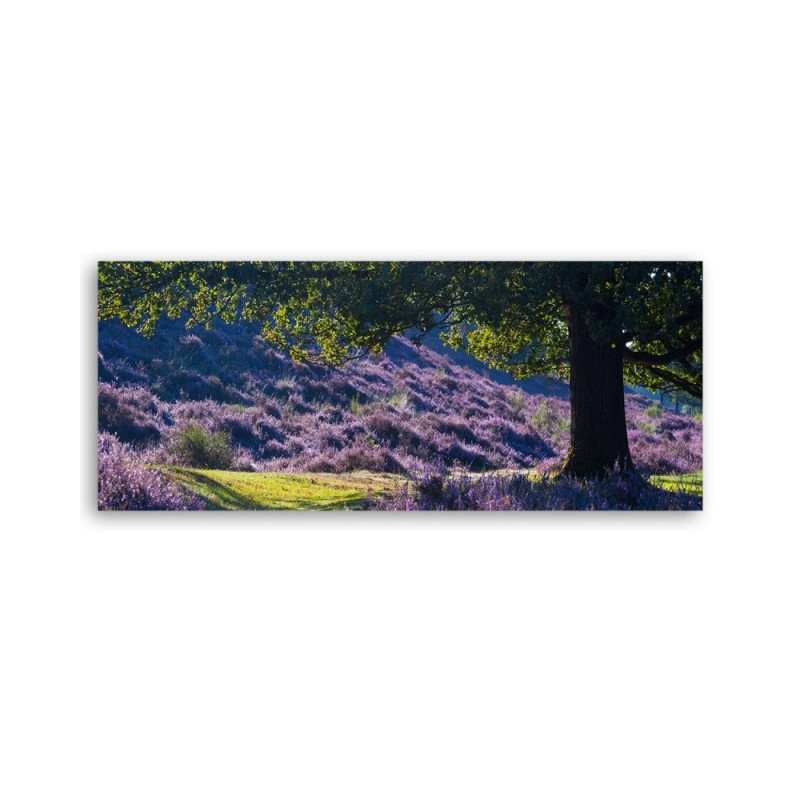 Wandbild für Wohnzimmer - Lavendel in der Provence | Feeby
