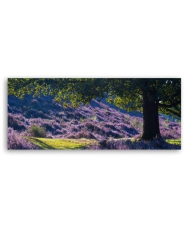Wandbild für Wohnzimmer - Lavendel in der Provence | Feeby