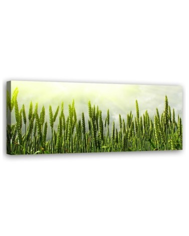 Modernes Wandbild - Weizenfeld | Feeby