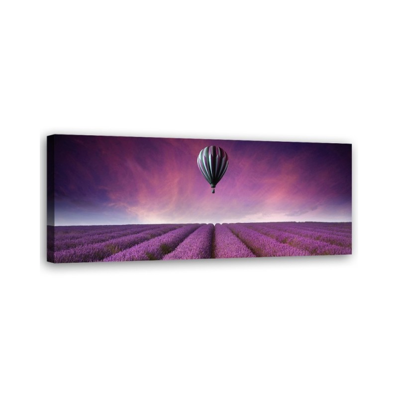 Leinwandbild - Luftballon über einem Lavendelfeld | Feeby