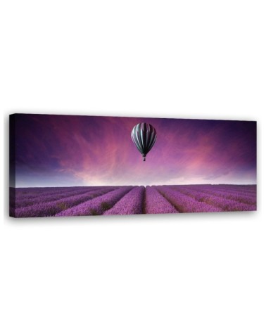 Leinwandbild - Luftballon über einem Lavendelfeld | Feeby