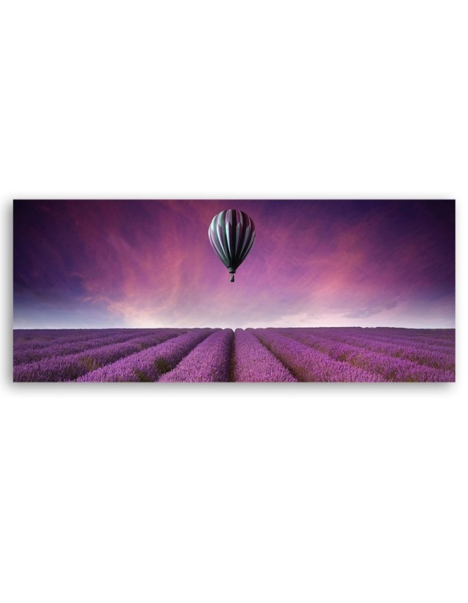 Balon nad polem lawendy - Obraz na ścianę | Feeby.pl