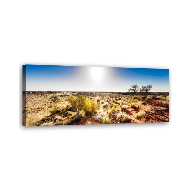 Leinwandbild - Wüstenvegetation | Feeby