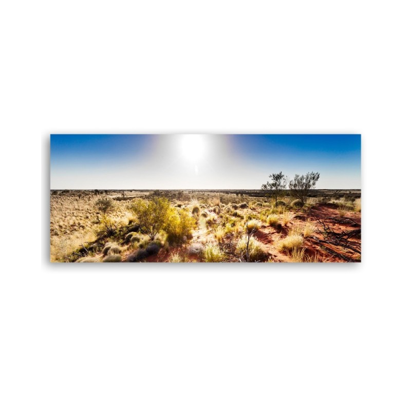 Leinwandbild - Wüstenvegetation | Feeby