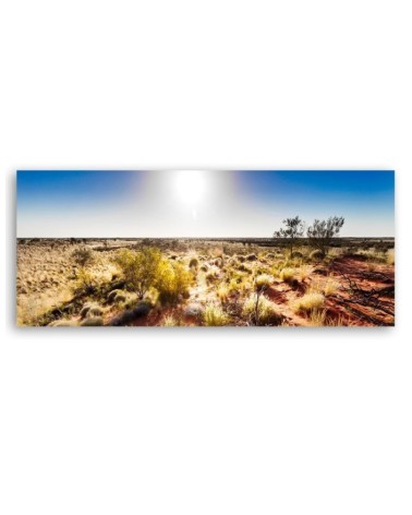 Leinwandbild - Wüstenvegetation | Feeby