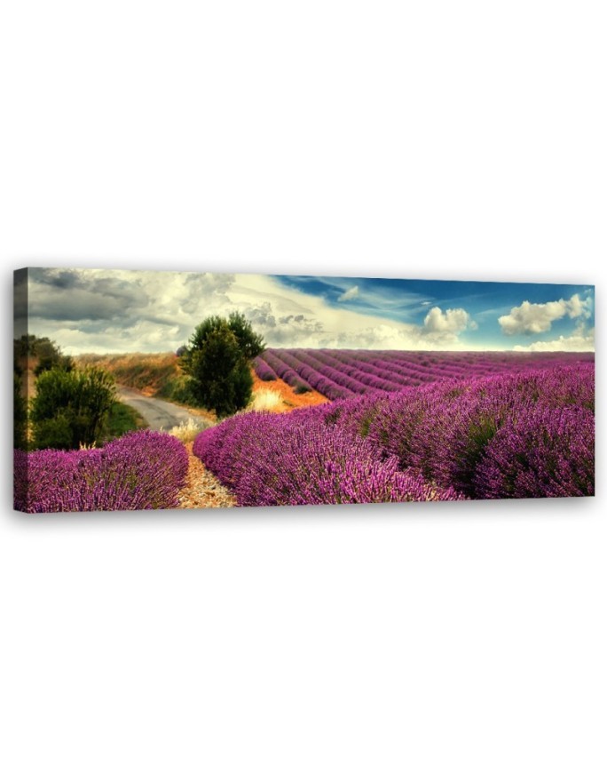 Modernes Wandbild - Lavendellandschaft | Feeby