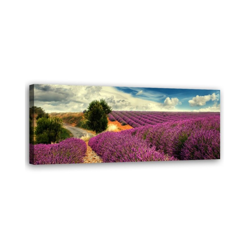 Modernes Wandbild - Lavendellandschaft | Feeby