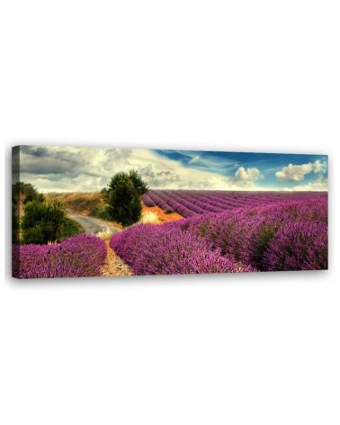 Modernes Wandbild - Lavendellandschaft | Feeby