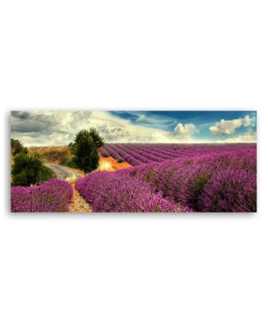 Modernes Wandbild - Lavendellandschaft | Feeby