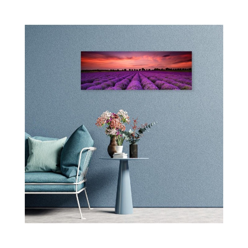 Bild auf Leinwand - Feld mit violetten Blumen | Feeby