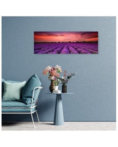 Bild auf Leinwand - Feld mit violetten Blumen | Feeby