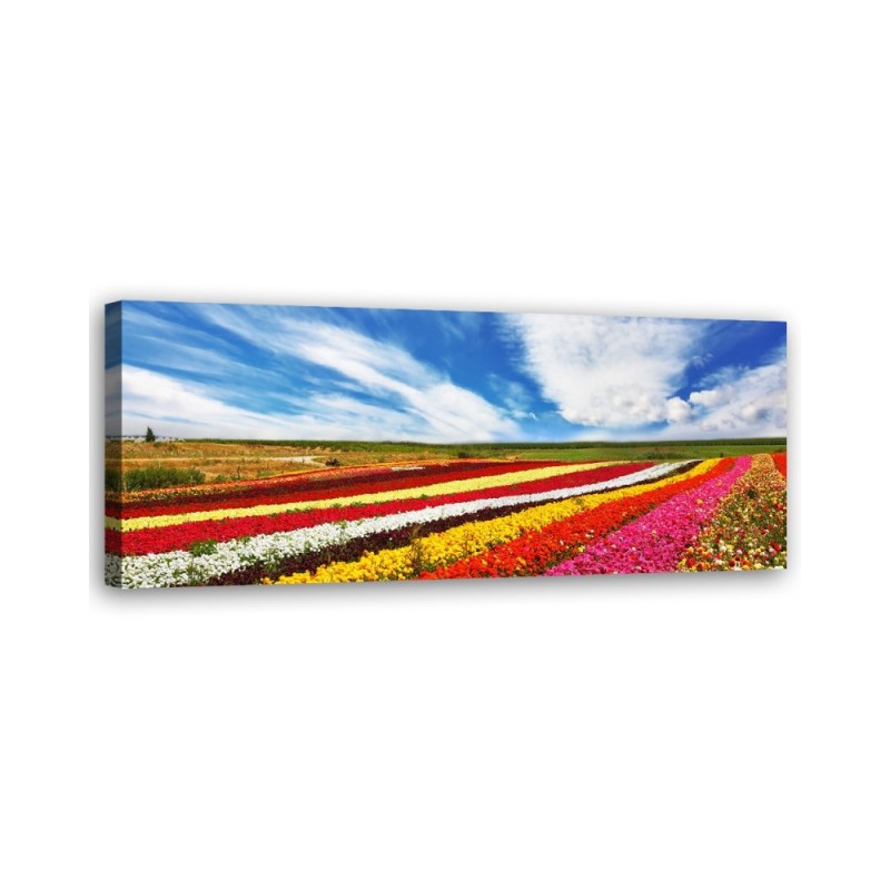 Leinwanddruck - Feld mit bunten Tulpen | Feeby